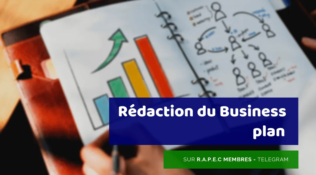 Service de Rédaction de Business Plan Professionnel